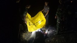 Nelayan Tewas saat Berburu Gurita di Perairan Alas Purwo