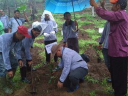 BI Kediri Beri Bantuan Bibit Kopi Arabica ke Petani di Tulungagung