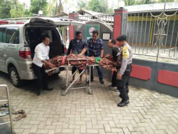 Mandi di Sungai, Pelajar di Trenggalek Tewas Tenggelam