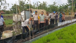 Tak Ingin Ada Korban Lagi, Polisi Cabuti Jebakan Tikus di Sawah 