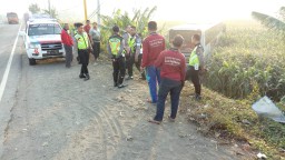 Diduga Sopir Mengantuk, Bus Eka Terjun ke Lahan Jagung
