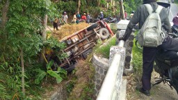 Truk Mengangkut Petani dan Jerami Terguling