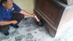Warga Temukan Sekantong Peluru Aktif Zaman Kolonial di Bawah Gerobak