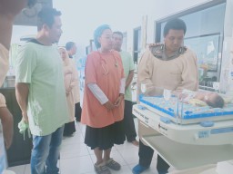 Bayi Laki-laki Dibuang dalam Kardus di Persawahan