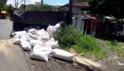 Kecelakaan di Banyuwangi, Truk Bermuatan Jagung Terguling