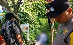 Cari Bekicot, Pria ini Tewas Tersetrum di Kebun Buah Naga