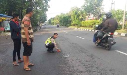 Dua Motor Tabrakan di Sidoarjo, 1 Orang Tewas dan 2 Luka