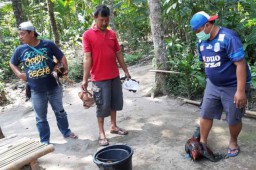 Sabung Ayam Digerebek di Blitar, Penjudi Terjun ke Sungai