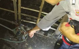 Pensiunan PNS di Ngawi Tewas Tersengat Listrik saat Perbaiki Pompa Air