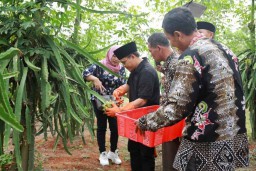Bupati Anas Dorong Petani Banyuwangi Gunakan Sistem Semi Organik