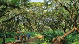 Libur Lebaran, Ribuan Wisatawan Serbu Tempat Wisata di Banyuwangi