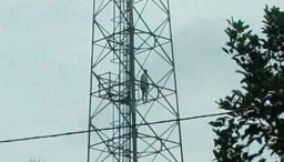 Tak Dibelikan Motor, Seorang Remaja di Banyuwangi Manjat Tower