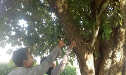 Diduga Depresi, Pria Probolinggo ini Ditemukan Tewas Gantung Diri 