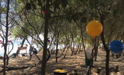Korbankan Pensiunan, Kakek di Blitar ini Hijaukan 19 KM Pantai Selatan