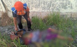 Disambar Kereta, Nenek di Pasuruan ini Tewas Terpental Sejauh 10 Meter