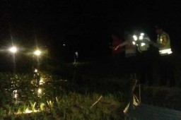 Petani di Ngawi Tewas Tersengat Listrik Jebakan Tikus Buatan Sendiri