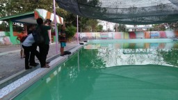 Terapi di Kolam Renang Tirta Jaya Brantas, Pria ini Tewas Tenggelam