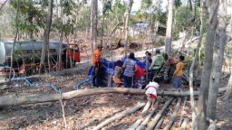 Musim Kemarau, Enam Kecamatan di Ponorogo Terdampak Kekeringan