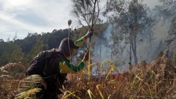 Kebakaran di Gunung Arjuno, Tahura Kembali Berangkatkan 1 Tim Tambahan