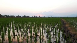 Air Langka, Dinas Pertanian akan Tertibkan Sumur Sibel di Ponorogo