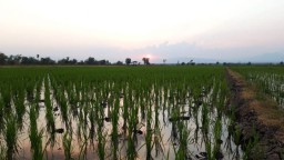Ratusan Petani di Kota Batu Tak Ambil Kartu Tani