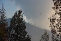 Status Tanggap Darurat Kebakaran di Pegunungan Ijen Diperpanjang