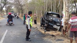 Pikap Muat Ayam Tabrak Pohon di Ponorogo, 3 Orang Terluka