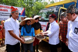 Banyuwangi Kembali Ekspor 600 Ton Kopi ke Eropa