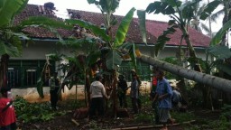 Pohon Tumbang Timpa Sekolah di Blitar, Warga dan Petugas Gotong Royong