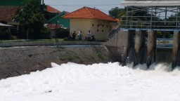 Warga Geger Lihat Sungai Sumput Sidoarjo Berbusa
