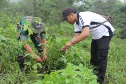 Polisi hingga TNI Hijaukan Kembali Gunung Arjuno dan Welirang