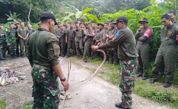 Menengok Kegiatan Pilot Tempur TNI AU dalam Jungle and Sea Survival