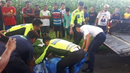 Diduga Korban Tabrak Lari, Wanita ini Ditemukan Tewas di Pinggir Jalan
