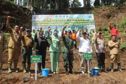 Ribuan Bibit Vetiver Ditanam di Lereng Gunung Argopuro