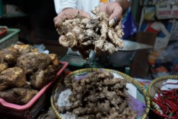 Disebut Bisa Tangkal Corona, Harga Jahe di Surabaya Ikut Melambung