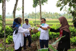 Khawatir Penyebaran Covid-19, Durian Banyuwangi Bisa Dipesan Online
