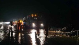 Tebing di KM 78 Tol Pandaan-Malang Longsor