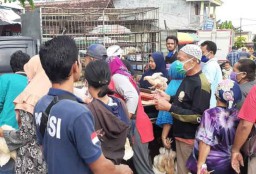 Harga Anjlok, Peternak di Madiun Bagikan Ribuan Ayam Gratis pada Warga