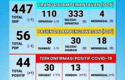 Update Covid-19 di Probolinggo: 44 Orang Positif dan 13 Pasien Sembuh