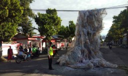 Balon Udara Bawa 17 Petasan Tersangkut Kabel Listrik di Ponorogo