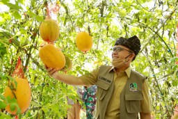 Destinasi Wisata di Banyuwangi Siap Sambut New Normal