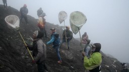 Kasada Tetap Digelar di Tengah Pandemi Corona, Tertutup Bagi Wisatawan