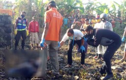 Mayat Pria dengan Luka Tusuk pada Perut Ditemukan di Mojokerto