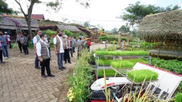 Kementerian PUPR Dukung Pengembangan Agrowisata Banyuwangi