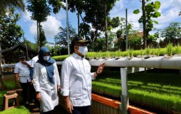 Optimalkan Pertanian, Bupati Anas Dorong Petani Manfaatkan Teknologi