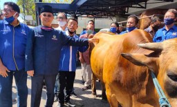 Sembelih 3 Sapi dan 12 Kambing, NasDem Terapkan Protokol Kesehatan