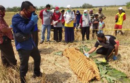 Tragis, Petani di Ngawi Tewas Terkena Alat Pemotong Rumput Sendiri