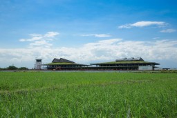 Hore! Penerbangan Banyuwangi-Denpasar Resmi Dibuka 28 Agustus