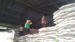 Tak Punya Kartu Tani, 30 Ribu Petani Ponorogo Sulit Beli Pupuk Subsidi