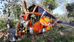 Bus Sumber Selamat Tabrak Pohon di Ngawi, Sopir dan 3 Penumpang Luka